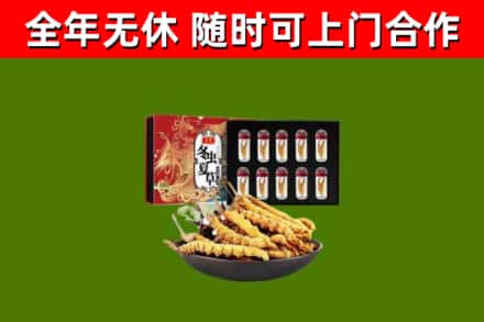 四会烟酒回收冬虫夏草礼盒.jpg